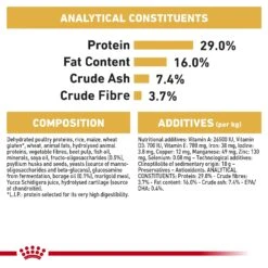 Royal Canin Golden Retriever Breed Puppy Dry Dog Food -KONG Shop GoldenRetrieverPuppy 3979 CV 7