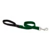 LupinePet Green Basic Solids Dog Leash