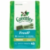 Greenies Freshmint Treat Pack Teenie (43 Treats) 2 Greenies Freshmint Treat Pack Teenie (43 Treats) -KONG Shop Greenies Freshmint Treat Pack Teenie 43 treats GREE TP M1 Primary