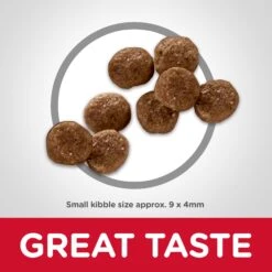 Hill's Science Diet Healthy Mobility Small Bites Adult Dog Dry Food -KONG Shop HILL 052742001807 13