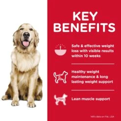Hill's Science Diet Perfect Weight Adult Dog Dry Food -KONG Shop HILL 052742001838 3