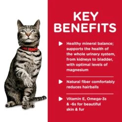 Hill's Science Diet Urinary Hairball Control Adult Cat Wet Food 82g Cans -KONG Shop HILL 052742002224 6