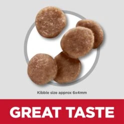 Hill's Science Diet Healthy Development Kitten Dry Food -KONG Shop HILL 052742004990 13