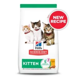 Hill's Science Diet Healthy Development Kitten Dry Food -KONG Shop HILL 052742004990 9