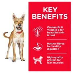 Hill's Science Diet Chicken & Barley Recipe Adult Dog Dry Food -KONG Shop HILL 052742005041 10