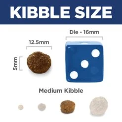 Hill's Science Diet Light With Chicken Meal & Barley Adult Dog Dry Food -KONG Shop HILL 052742005072 16 b631f791 0a2f 4b10 b03a d97b3fbeca4f