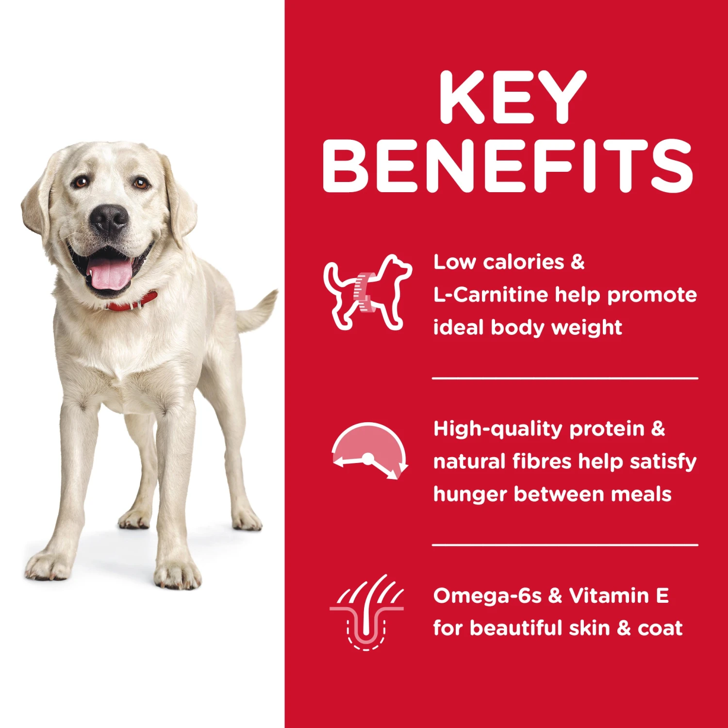 Hill's Science Diet Light Large Breed Adult Dog Dry Food 5 Hill's Science Diet Light Large Breed Adult Dog Dry Food - Image 3