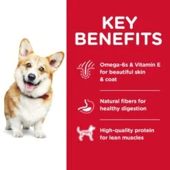 Hill's Science Diet Small Bites Chicken & Barley Recipe Adult Dog Dry Food -KONG Shop HILL 052742005188 12