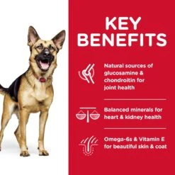 Hill's Science Diet Adult 6+ Large Breed Senior Dog Dry Food -KONG Shop HILL 052742005393 12