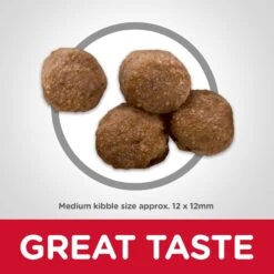 Hill's Science Diet Healthy Mobility Adult Dog Dry Food -KONG Shop HILL 052742005461 13