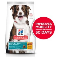 Hill's Science Diet Healthy Mobility Large Breed Adult Dog Dry Food -KONG Shop HILL 052742005478 19