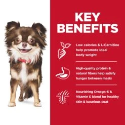 Hill's Science Diet Sensitive Stomach & Skin Small & Mini Adult Dry Dog Food 23 Hill's Science Diet Sensitive Stomach & Skin Small & Mini Adult Dry Dog Food -KONG Shop HILL 052742007038 11