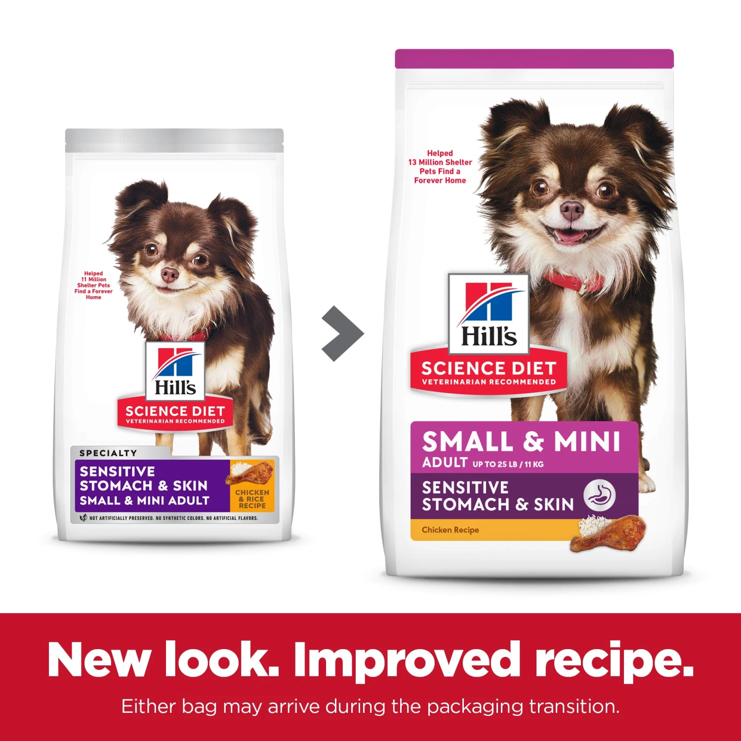 Hill's Science Diet Sensitive Stomach & Skin Small & Mini Adult Dry Dog Food 5 Hill's Science Diet Sensitive Stomach & Skin Small & Mini Adult Dry Dog Food - Image 3