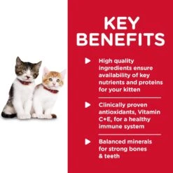 Hill's Science Diet Healthy Cuisine Roasted Chicken & Rice Medley Kitten Wet Food 79g Cans -KONG Shop HILL 052742007175 13