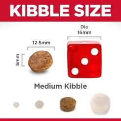 Hill's Science Diet Youthful Vitality Mature 7+ Dry Dog Food -KONG Shop HILL 052742012070 10