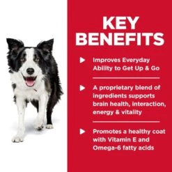 Hill's Science Diet Youthful Vitality Mature 7+ Dry Dog Food -KONG Shop HILL 052742012070 8