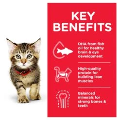 Hill’s Science Diet Tender Chicken Dinner Kitten Wet Food 85g Pouches -KONG Shop HILL 052742017488 10