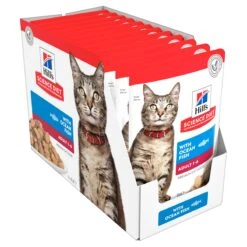 Hill’s Science Diet With Ocean Fish Adult Cat Wet Food 85g Pouches -KONG Shop HILL 052742017631 7