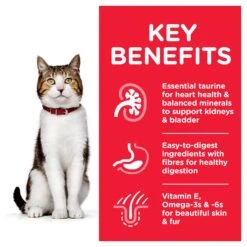 Hill's Science Diet Mature Tender Chicken Dinner Adult 7+ Cat Wet Food 85g Pouches -KONG Shop HILL 052742017662 10