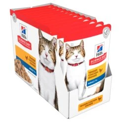 Hill's Science Diet Mature Tender Chicken Dinner Adult 7+ Cat Wet Food 85g Pouches -KONG Shop HILL 052742017662 7