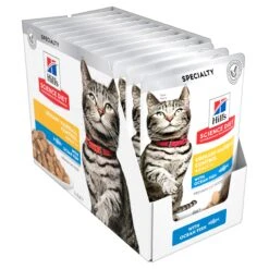 Hill’s Science Diet Urinary Hairball Control With Ocean Fish Adult Cat Wet Food 85g Pouches -KONG Shop HILL 052742017815 7