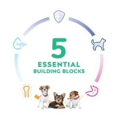 Hill's Science Diet Small Paws Puppy Dry Dog Food 22 Hill's Science Diet Small Paws Puppy Dry Dog Food -KONG Shop HILL 052742020884 10