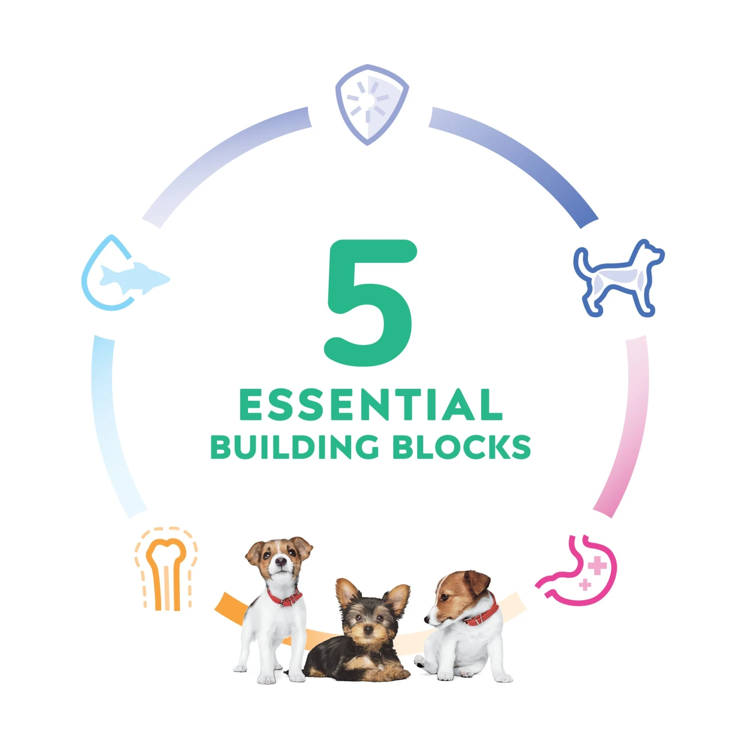 Hill's Science Diet Small Paws Puppy Dry Dog Food 8 Hill's Science Diet Small Paws Puppy Dry Dog Food - Image 6