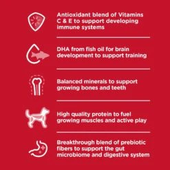 Hill's Science Diet Small Paws Puppy Dry Dog Food 23 Hill's Science Diet Small Paws Puppy Dry Dog Food -KONG Shop HILL 052742020884 11