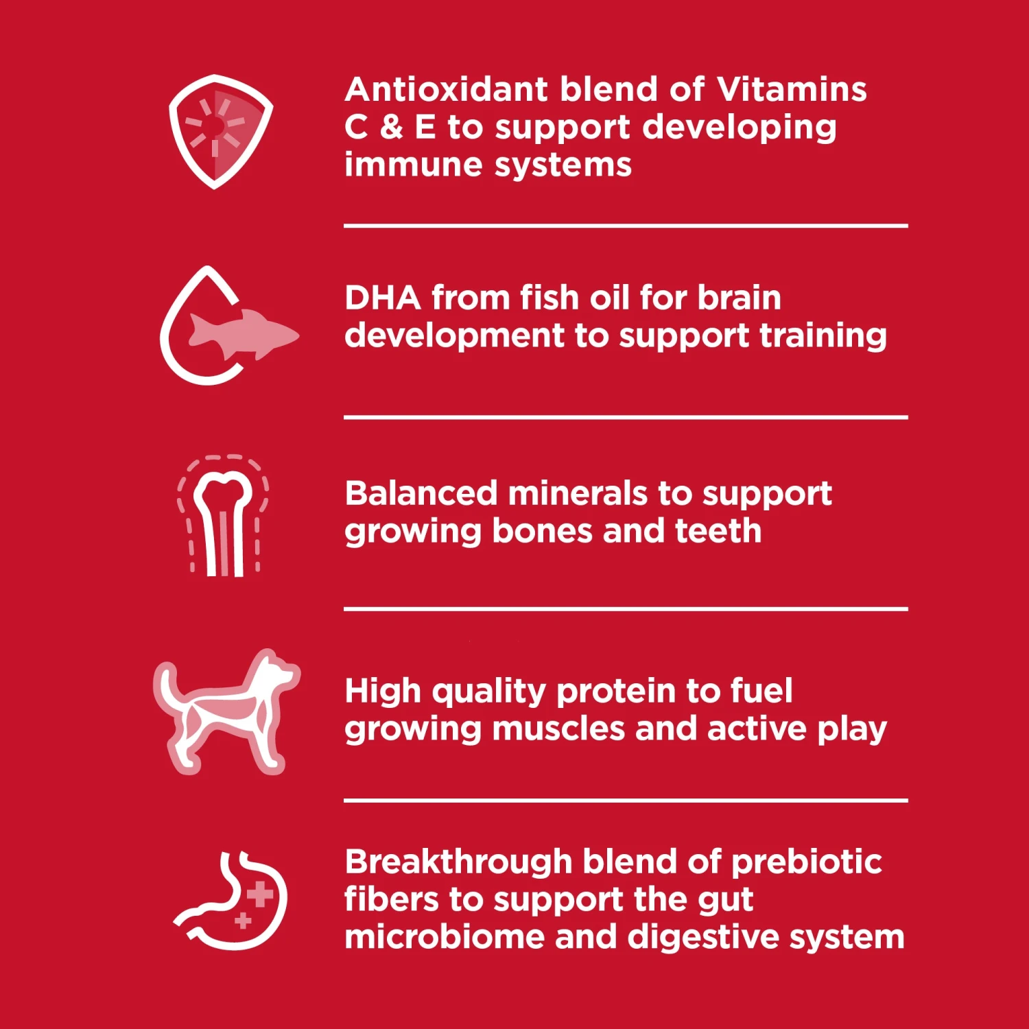 Hill's Science Diet Small Paws Puppy Dry Dog Food 9 Hill's Science Diet Small Paws Puppy Dry Dog Food - Image 7