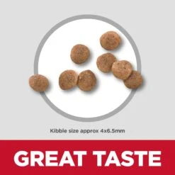 Hill's Science Diet Small Paws Puppy Dry Dog Food 29 Hill's Science Diet Small Paws Puppy Dry Dog Food -KONG Shop HILL 052742020884 17