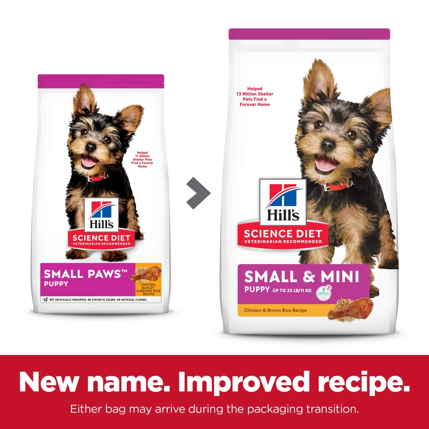 Hill's Science Diet Small Paws Puppy Dry Dog Food 5 Hill's Science Diet Small Paws Puppy Dry Dog Food - Image 3
