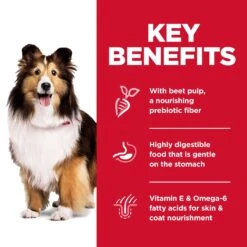 Hill's Science Diet Sensitive Stomach & Skin Adult Dog Dry Food -KONG Shop HILL 052742020983 9