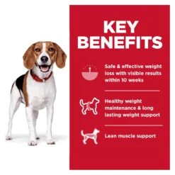 Hill's Science Diet Perfect Weight Adult Small Bites Dry Dog Food -KONG Shop HILL 052742033112 8