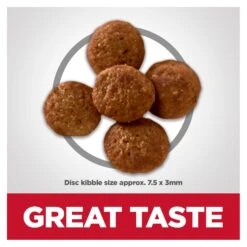 Hill's Science Diet Perfect Weight Adult Small Bites Dry Dog Food -KONG Shop HILL 052742033112 9