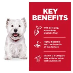 Hill's Science Diet Sensitive Stomach & Skin Small Bites Adult Dog Dry Food -KONG Shop HILL 052742033167 8
