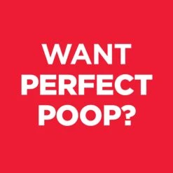 Hill's Science Diet Perfect Digestion Adult Dry Cat Food -KONG Shop HILL 052742051017 3