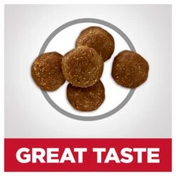 Hill's Science Diet Perfect Digestion Adult 7+ Dry Cat Food -KONG Shop HILL 052742051291 5