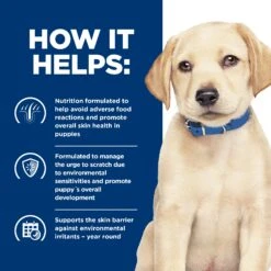 Hill's Prescription Diet Derm Complete Rice & Egg Recipe Puppy Dry Food -KONG Shop HILL 052742056852 8