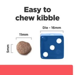 Hill's Prescription Diet ONC Care Adult Dog Dry Food -KONG Shop HILL 052742058092 11