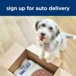 Hill's Prescription Diet ONC Care Adult Dog Dry Food -KONG Shop HILL 052742058092 21