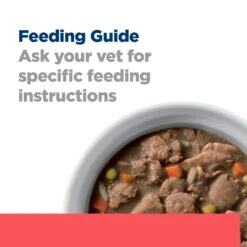 Hill's Prescription Diet ONC Care Chicken & Vegetable Stew Adult Dog Wet Food 354g Cans -KONG Shop HILL 052742058139 12 2bc52db3 135f 46fc b821 b77e8327de9b