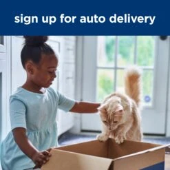 Hill's Prescription Diet ONC Care Adult Cat Dry Food -KONG Shop HILL 052742058146 21