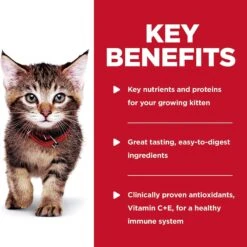 Hill’s Science Diet With Turkey Kitten Wet Food 85g Pouches -KONG Shop HILL 052742060408 10