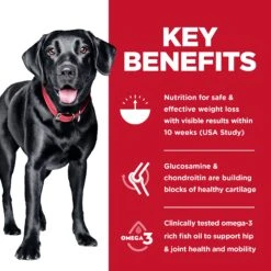 Hill’s Science Diet Perfect Weight Large Breed + Joint Support Adult Dry Dog Food -KONG Shop HILL 052742060521 10