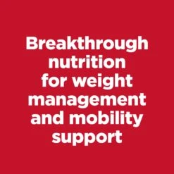 Hill’s Science Diet Perfect Weight Large Breed + Joint Support Adult Dry Dog Food -KONG Shop HILL 052742060521 8