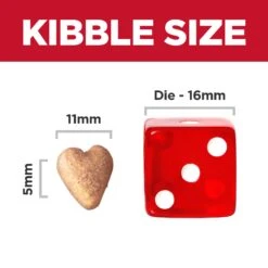 Hill’s Science Diet Perfect Weight Large Breed + Joint Support Adult Dry Dog Food -KONG Shop HILL 052742060521 9