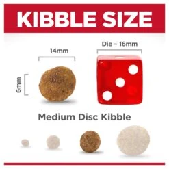 Hill's Science Diet Perfect Weight Large Breed Adult Dog Dry Food -KONG Shop HILL 052742060583 10