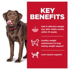 Hill's Science Diet Perfect Weight Large Breed Adult Dog Dry Food -KONG Shop HILL 052742060583 7