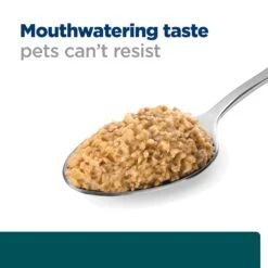 Hill's Prescription Diet W/d Multi-Benefit Adult Dog Wet Food 370g Cans -KONG Shop HILL 052742064925 12