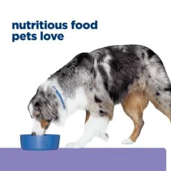 Hill's Prescription Diet Z/d Low Fat Food Sensitivities Dog Dry Food -KONG Shop HILL 052742068589 19